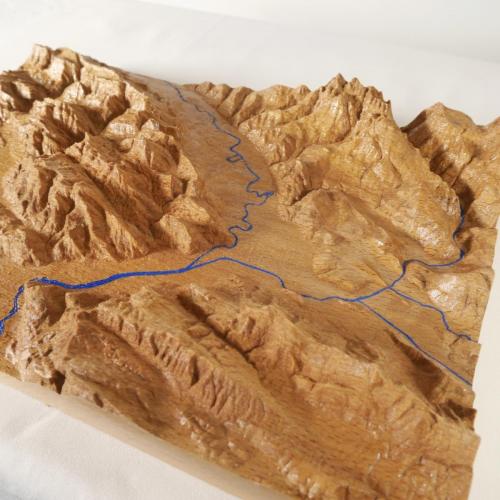 Topographie 3D - Bassin Grenoblois- Hêtre massif
